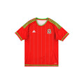 Wales 2015/16 Home Shirt