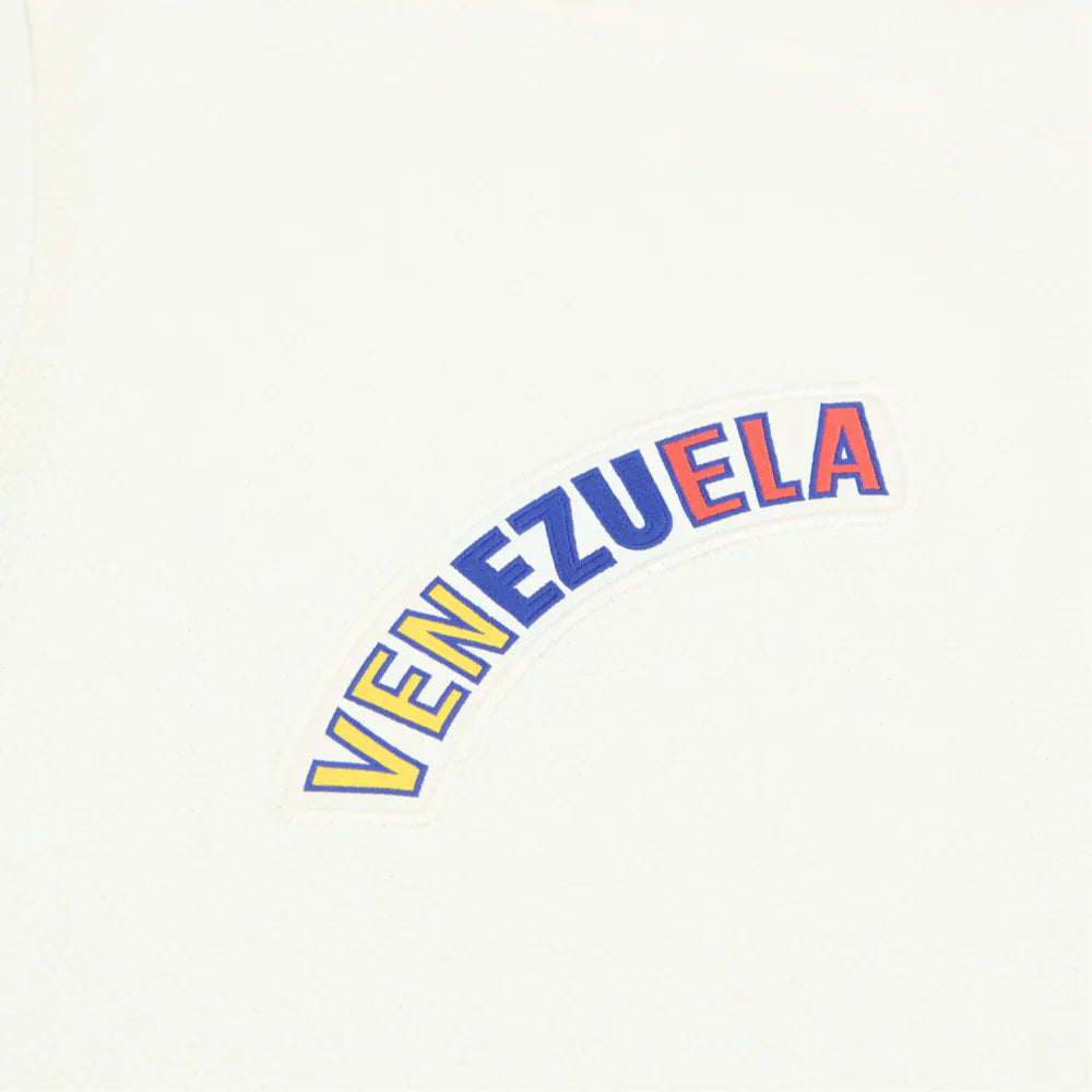 Venezuela 2026 Away Shirt