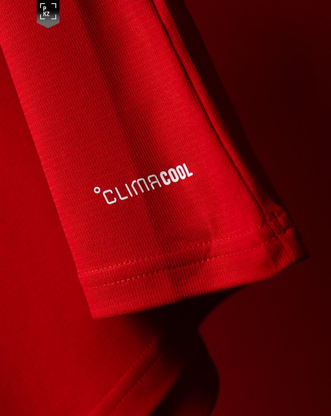 Wales 2026 Home Shirt